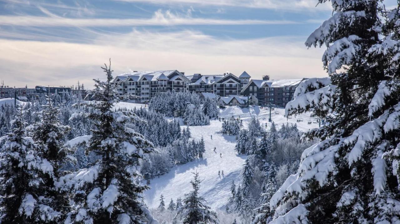 Snowshoe Ski-In & Ski-Out At Silvercreek Resort - Family Friendly, Jacuzzi, Hot Tub, Mountain Views エクステリア 写真