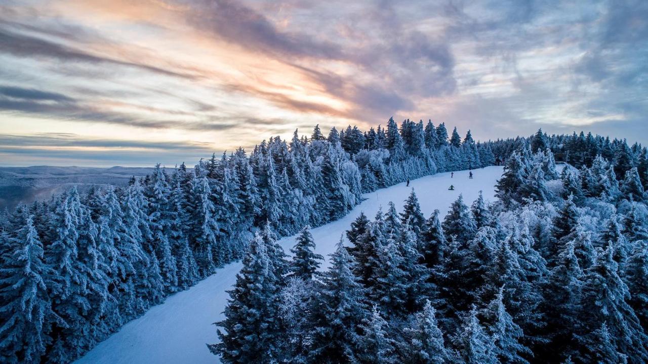 Snowshoe Ski-In & Ski-Out At Silvercreek Resort - Family Friendly, Jacuzzi, Hot Tub, Mountain Views エクステリア 写真
